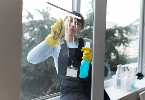 Nettoyage de vitres intérieures et extérieures à Leyr